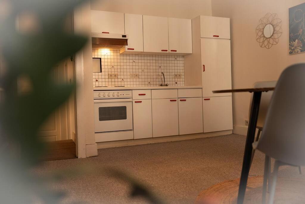 Villa Camelia, Un Charme Montois Mons Exterior foto